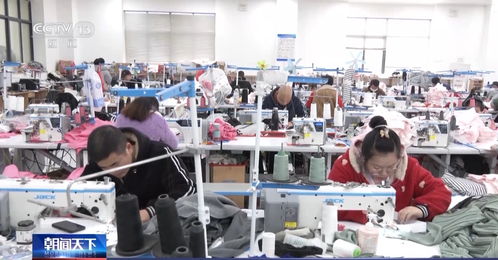 新機遇里看中國丨跨境小包裹 闖出大商機 服裝服飾零售